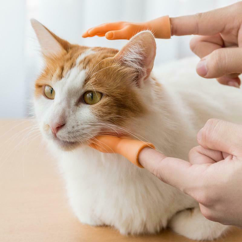 Fingerlinge zum Streicheln von Katzen