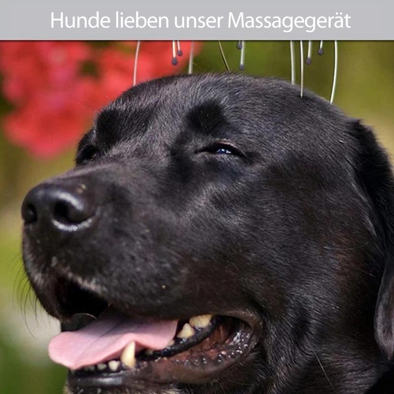 Nettjade™  Handhaltendes Kopfmassagegerät